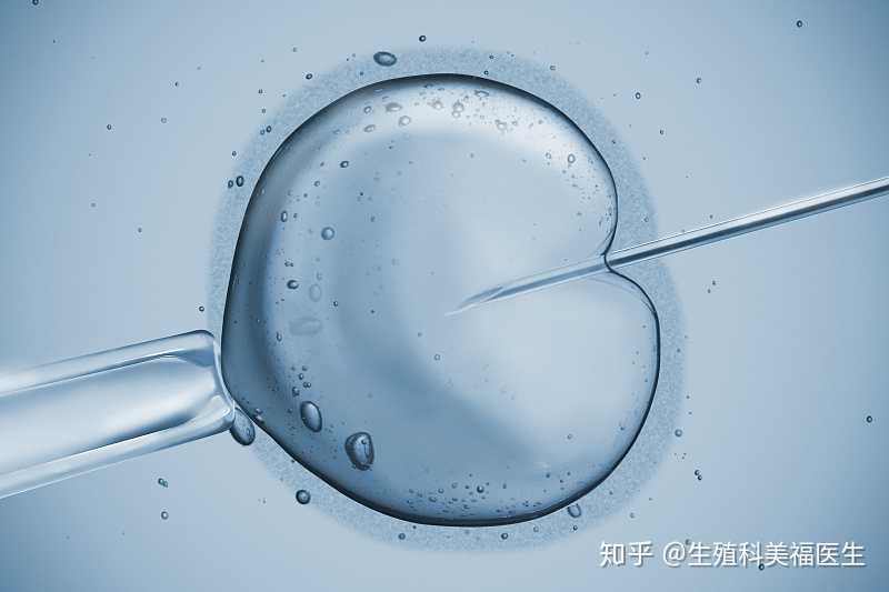 深圳生殖助孕机构排名,深圳志愿者北上石家庄，时隔25小时的两条朋友圈都在整