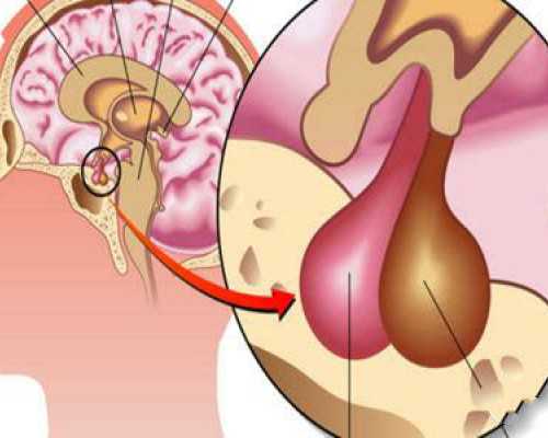 上海供卵机构世纪助孕,助孕的服务机构