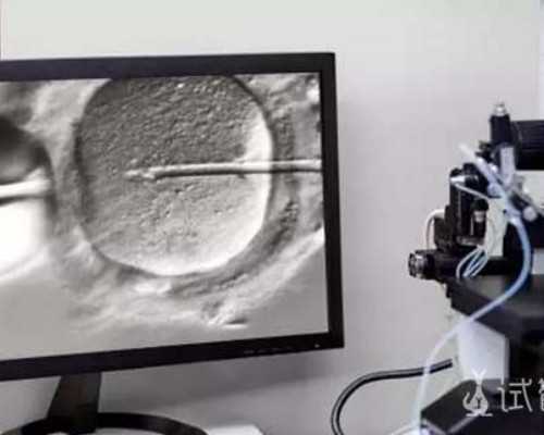 职业供卵,做滁州助孕供卵代怀婴儿详细过程是什么的