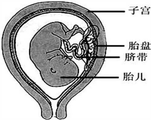 深圳试管婴儿代孕是合法的吗_深圳有姐妹找人代孕的吗