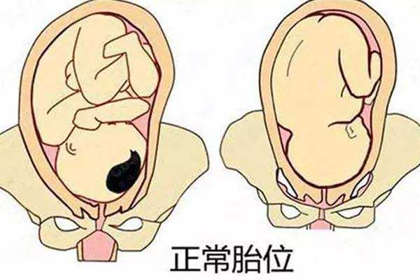 供卵助孕流程[广州传承生殖医学科技]+泰国三代试管流程时间表，是什么样子的
